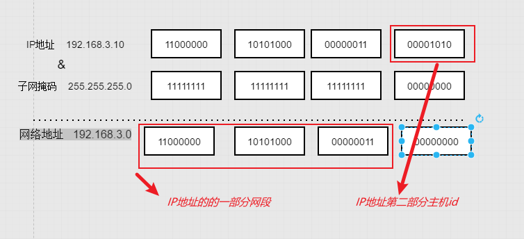 image-20211219171730783