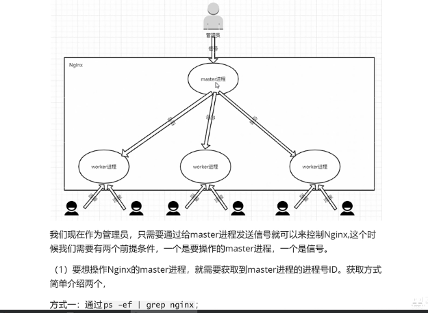 nginx的master和worker进程